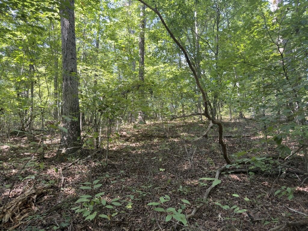 Picture 12