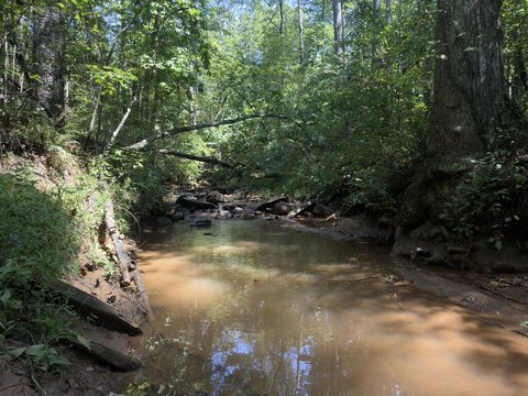 Vacant Lot, Ellijay, GA