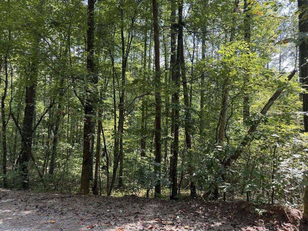 Picture 21