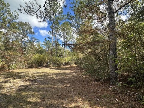 20 Acres Wooded Land