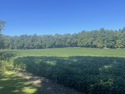 40 Acres Near Bronson, MI