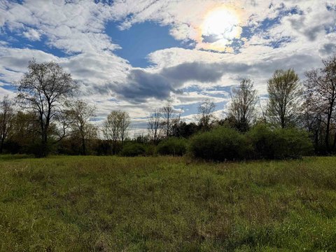 Potsdam Land: Build Your Oasis