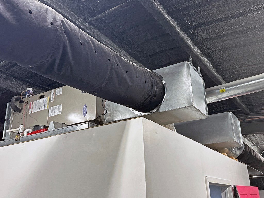 Picture 5