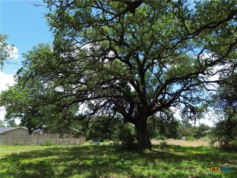 LAND - Salado, TX
