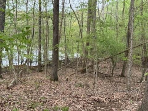 Waterfront Residential Lot