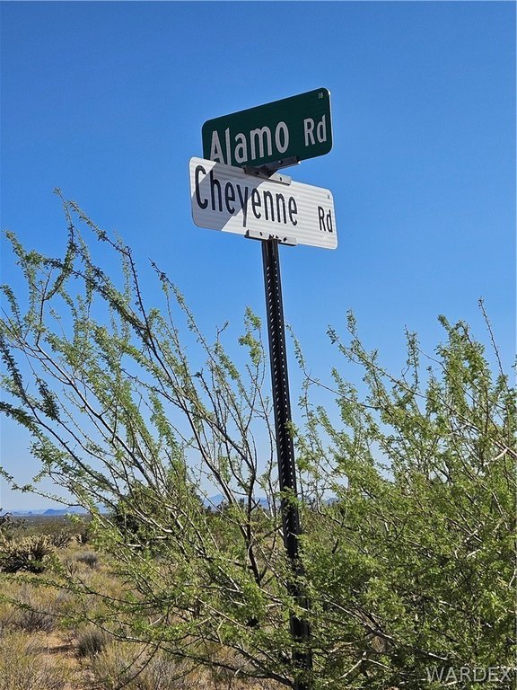 Picture 5