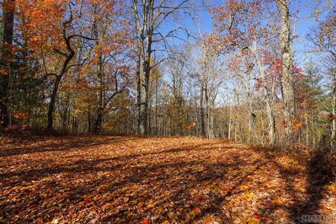 Scaly Mountain Land For Sale