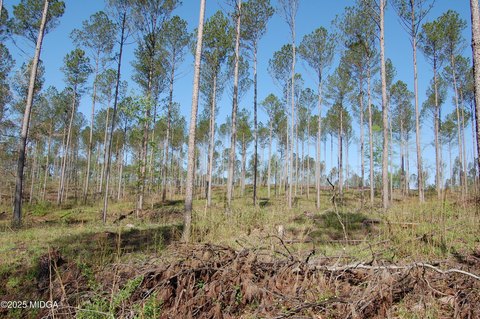 Land in North Monroe County
