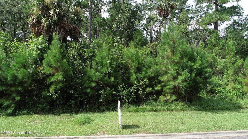 Picture 4
