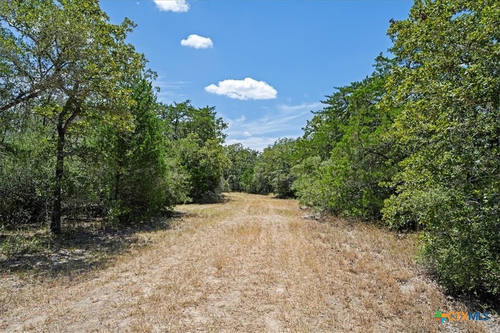 Picture 3