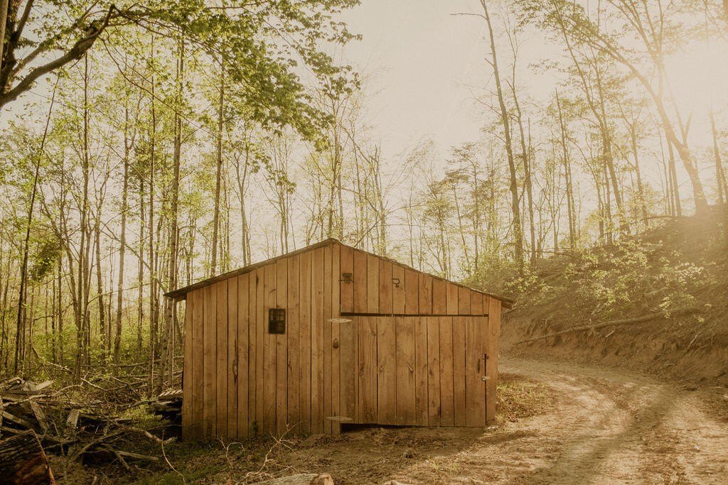 Kentucky Land with Timber Value