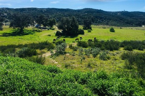 Horse Property With Equestrian Improvements