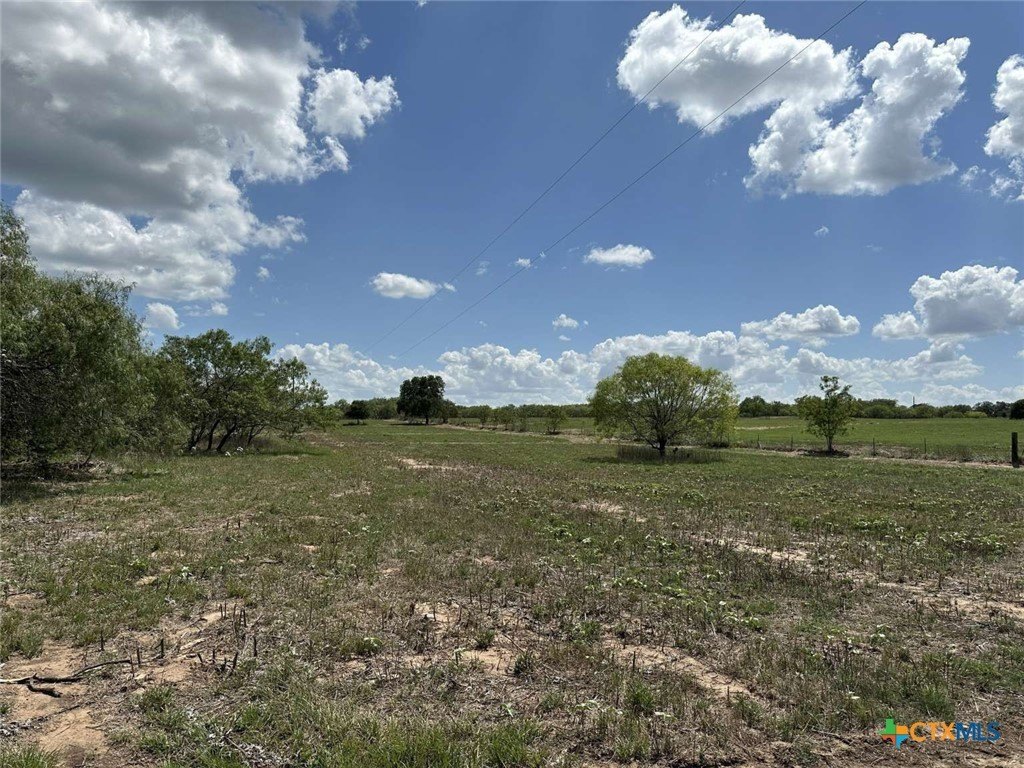 Picture 3