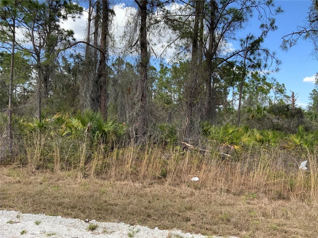 Picture 6
