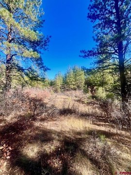 Land For Sale, Durango