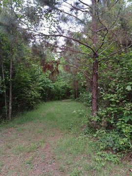 Unrestricted Hunting Land Tract