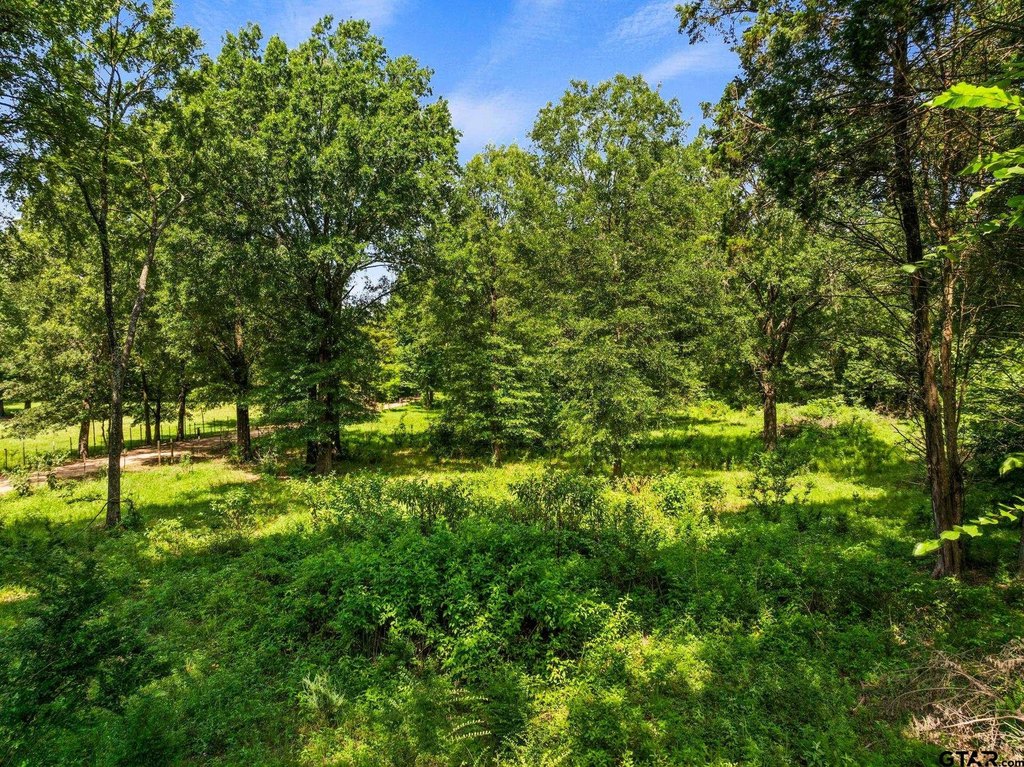 Picture 18
