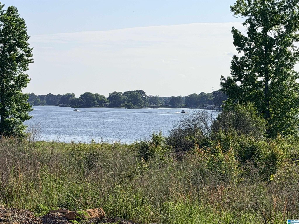 Picture 4