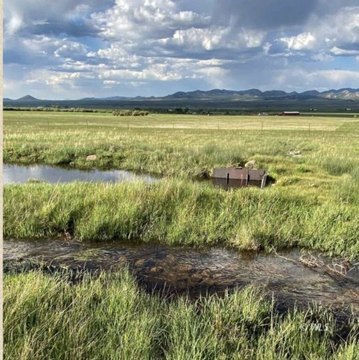 Westcliffe, CO - 80 Acre Land