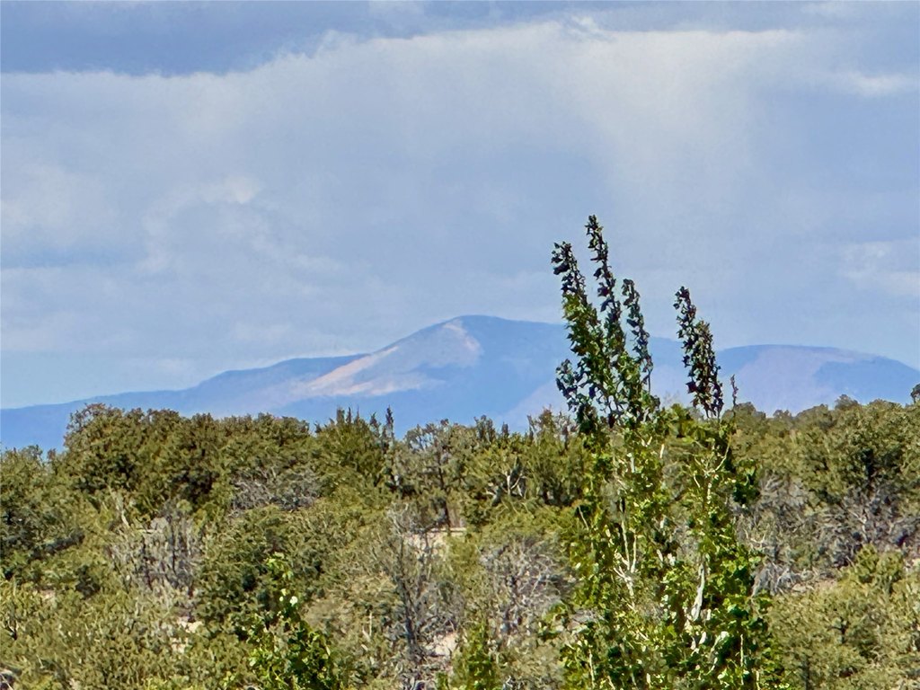 Picture 33