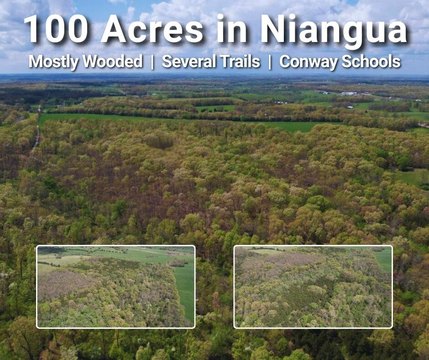 Secluded 100-Acre Hunting Land