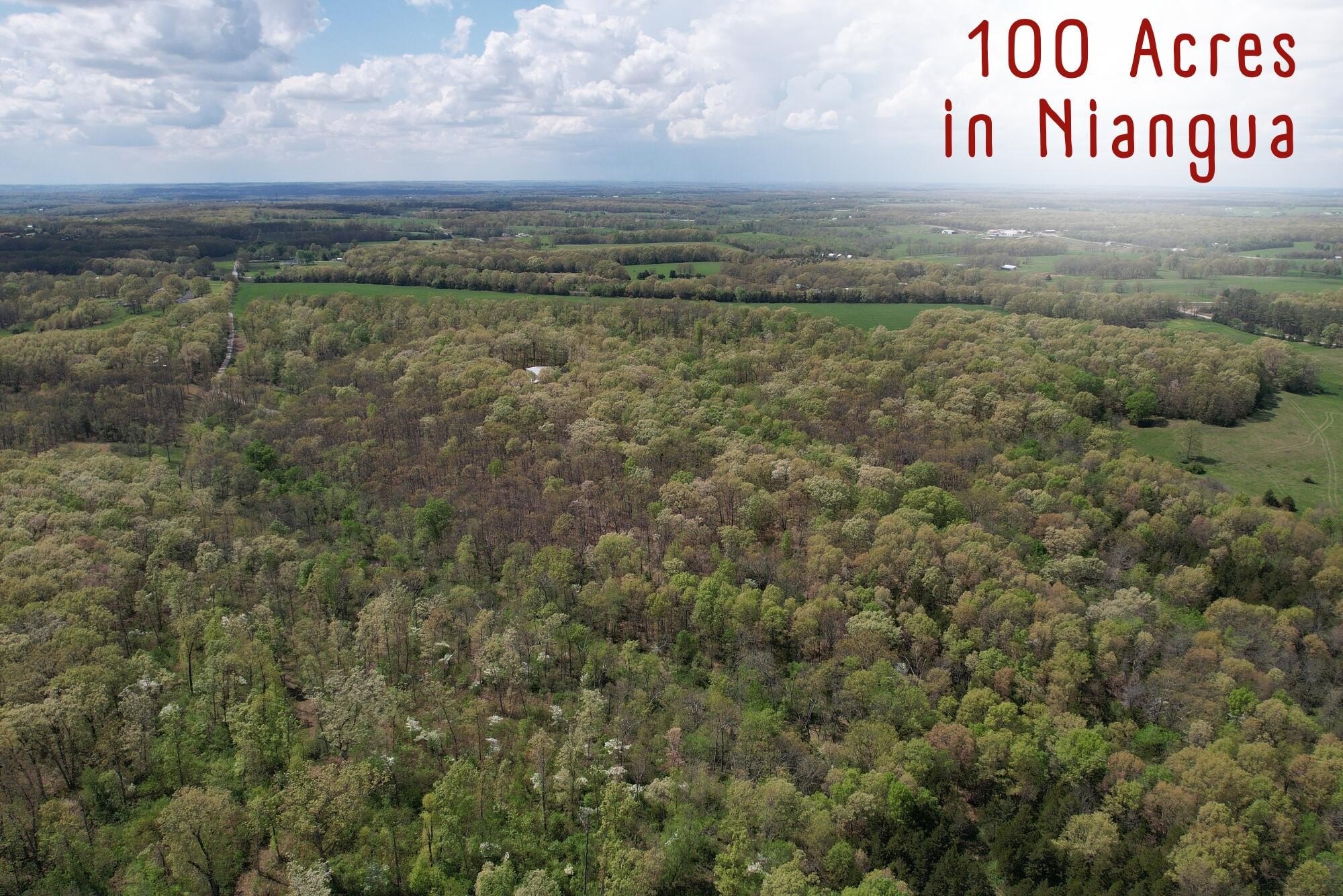 Secluded 100-Acre Hunting Land
