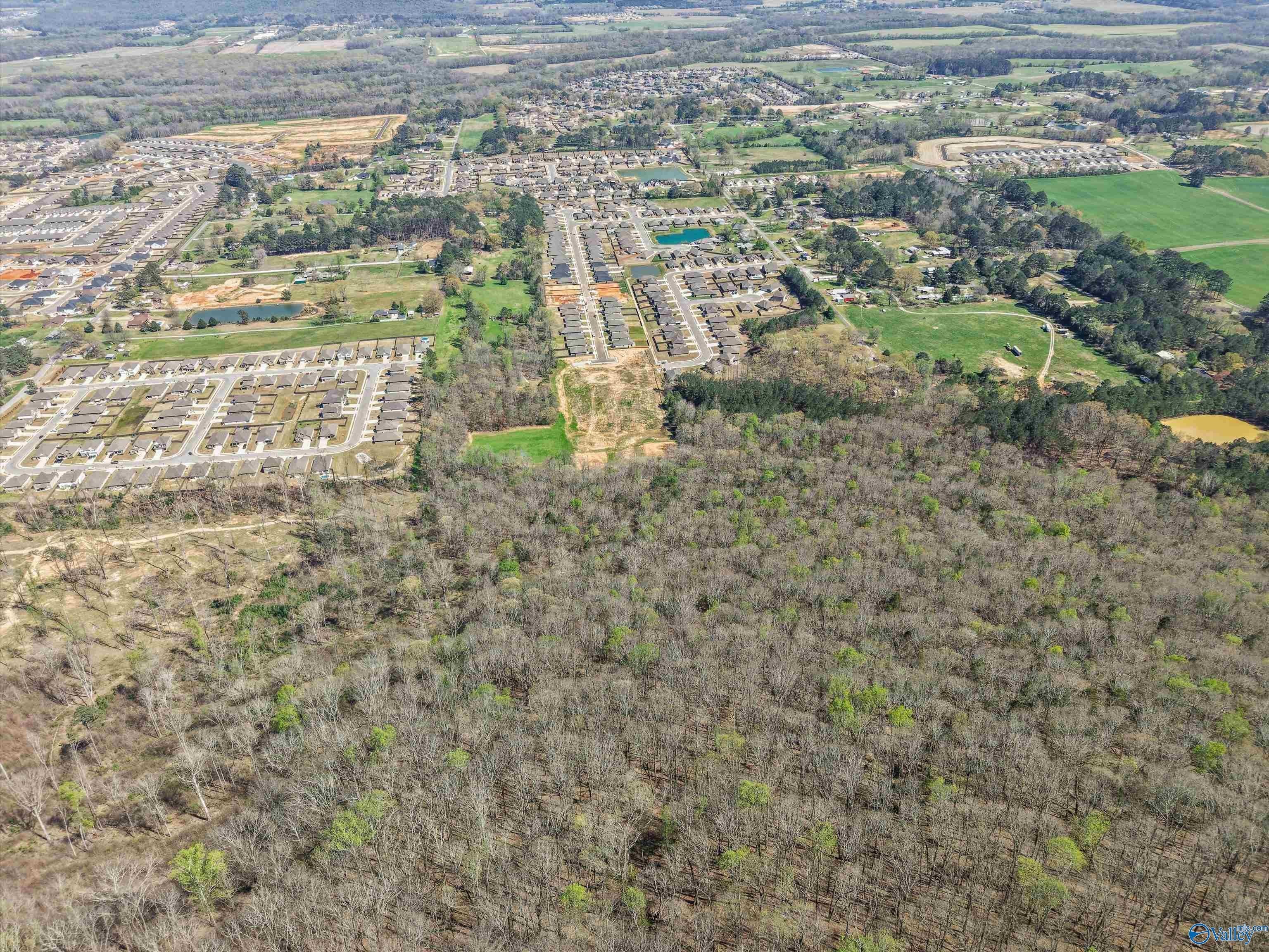 New Hope Land Opportunity