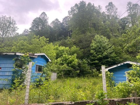 Land Parcel in Dana, KY