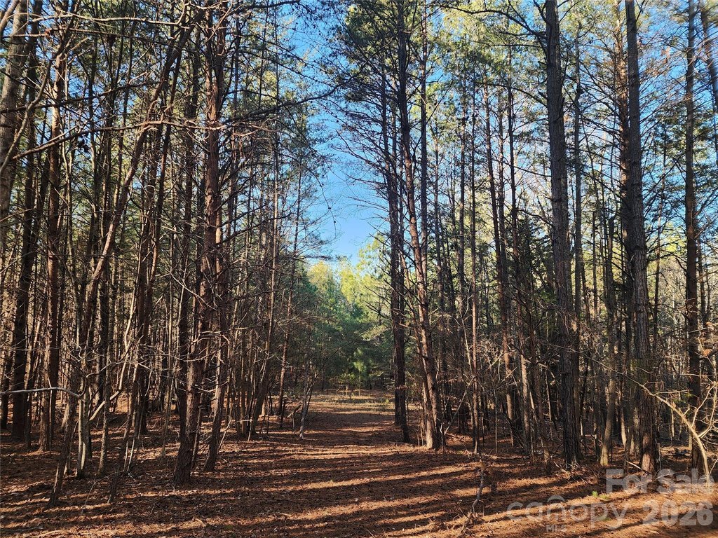 Picture 18