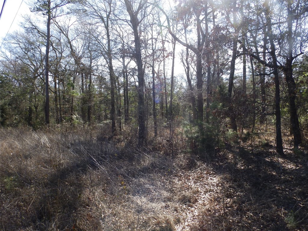 Picture 35