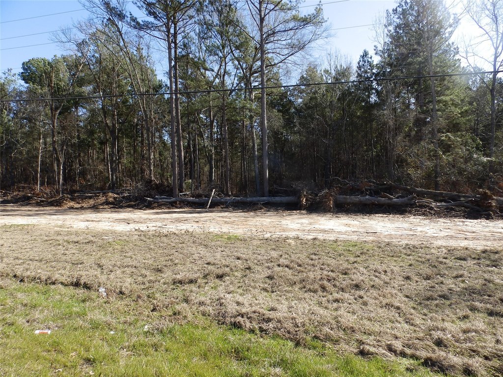 Picture 21