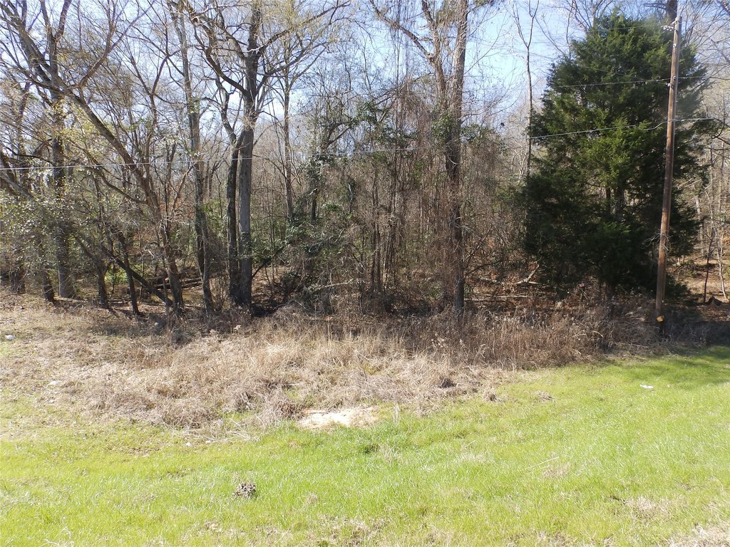 Picture 38