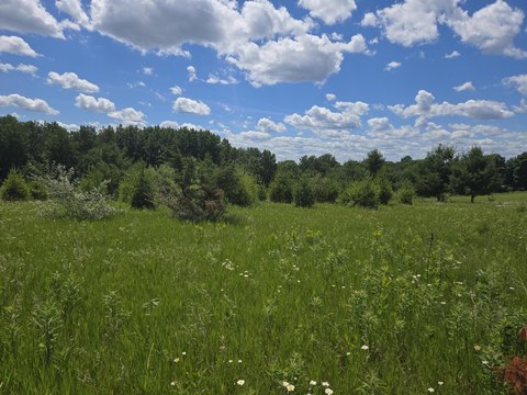 LAND - La Valle, WI