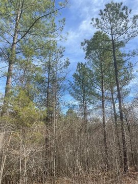 LAND - Broken Bow, OK