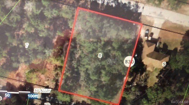 Citrus Springs Wooded Half-Acre Lot
