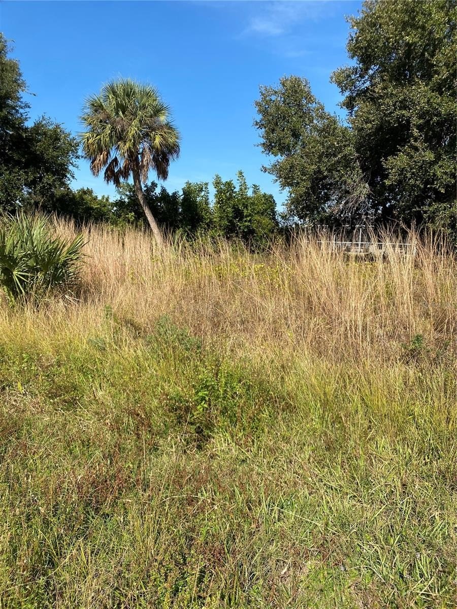 Cleared Land in North Port