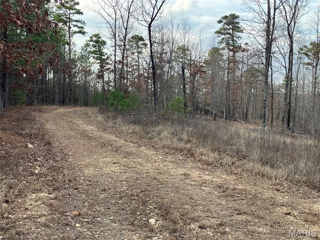 Ozark Oasis Land Near Forest