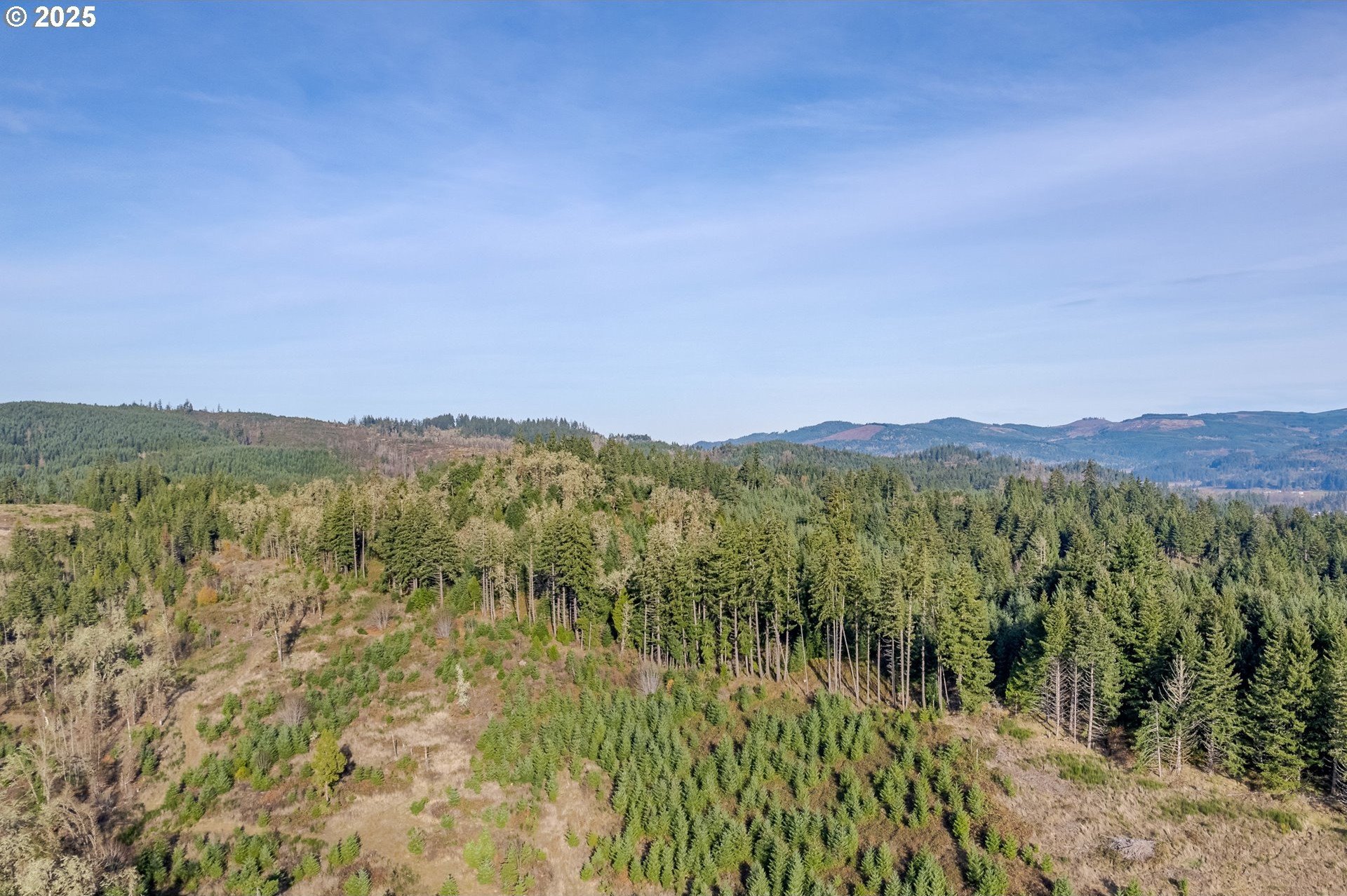 Cottage Grove Forest-Zoned Land