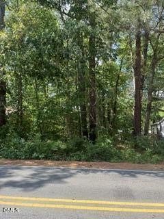 Buildable Lot Near Downtown Durham