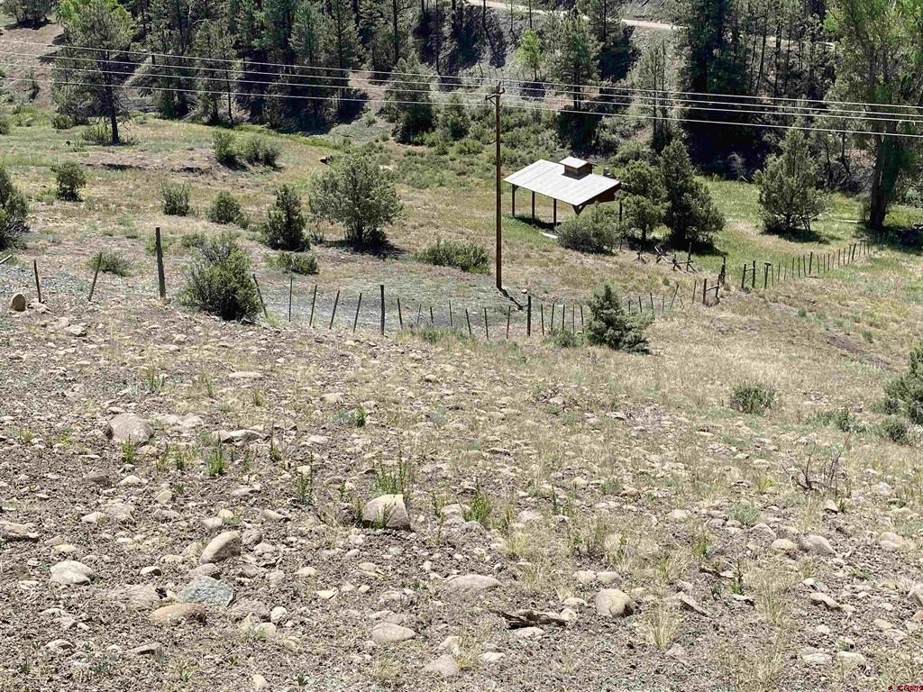 Picture 19