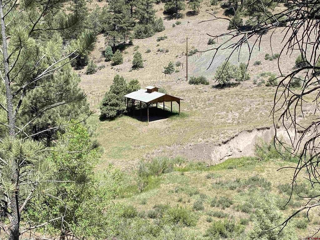 Picture 6