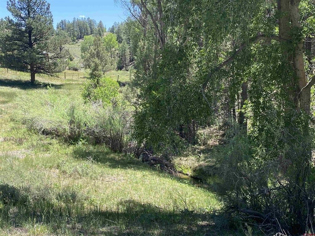 Picture 24