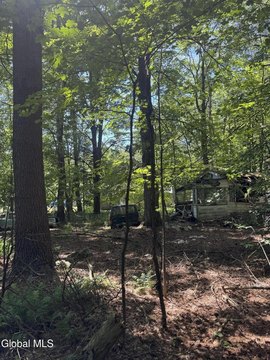 LAND - Petersburgh, NY