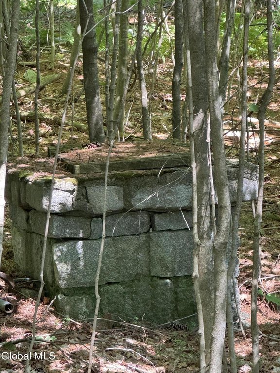 Picture 2