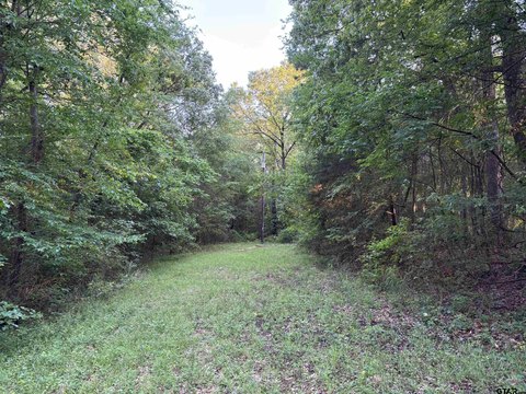 Residential Lot in Gated Subdivision