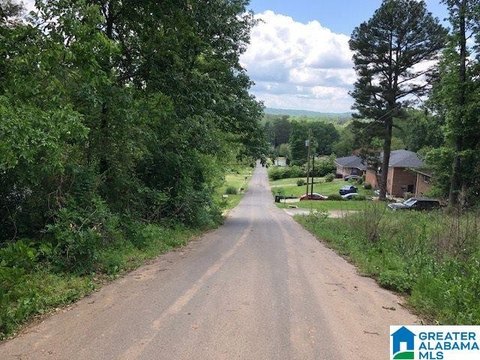 LAND - BESSEMER, AL