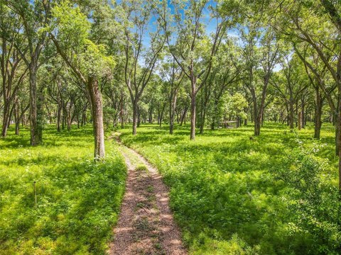 Oak-Canopied Agricultural Land
