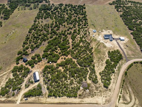 Land, Gatesville, TX