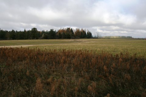 Deer Park Land with Views