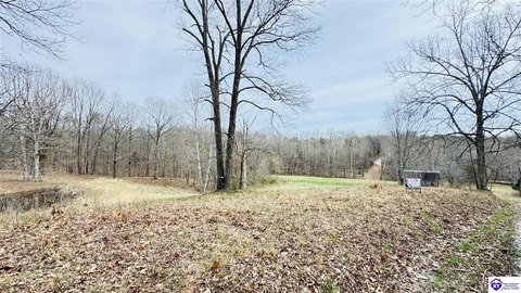 Acreage with Pond and Creek